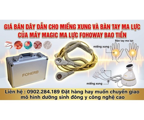 Công Năng Tác Dụng Và Giá Bán Dây Laser Laze Máy Massage Magic Fohoway Bao Tiền